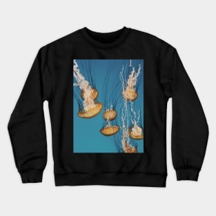 Jellies Crewneck Sweatshirt